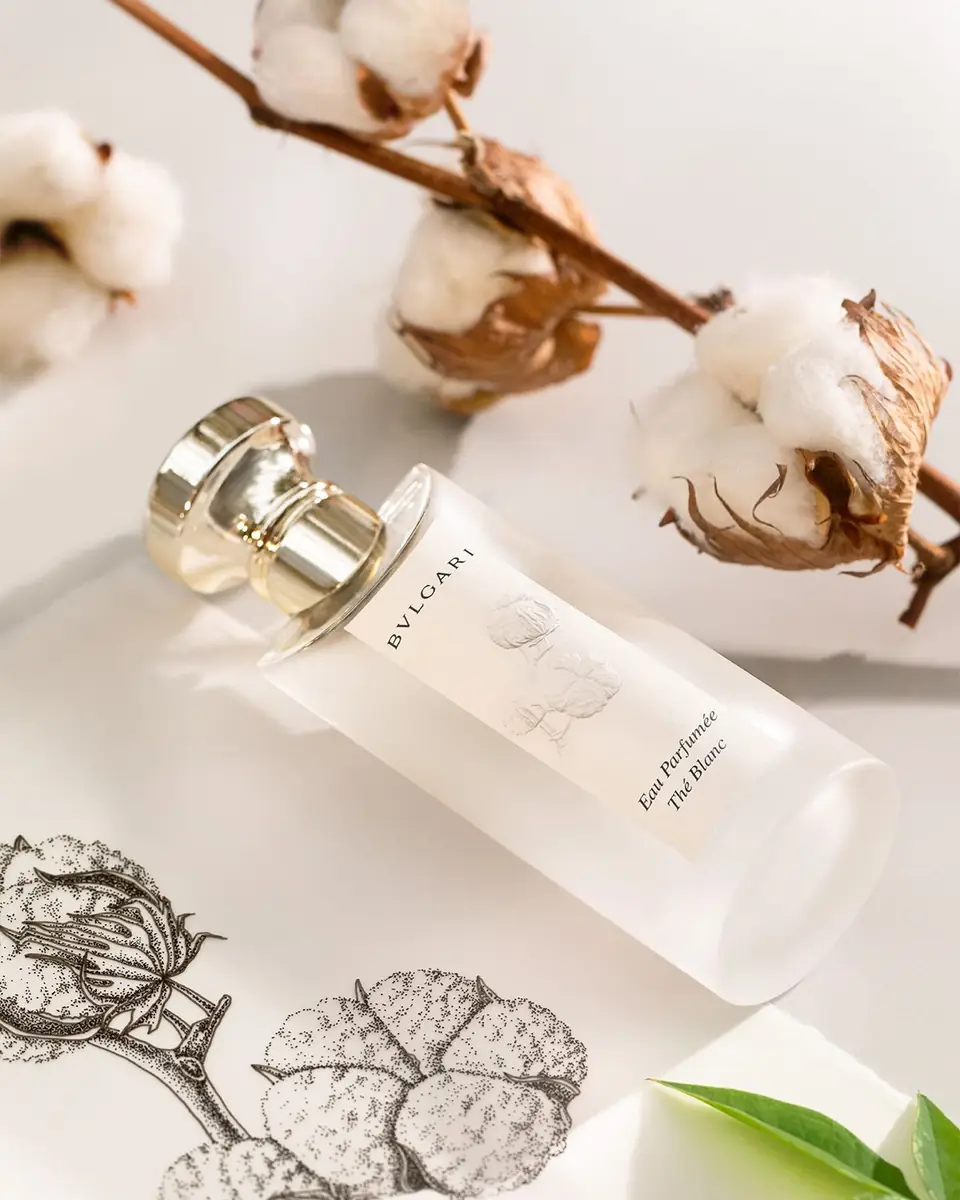 BVLGARI Eau Parfumée Thé Blanc Eau de Toilette, 2.5 oz. | Thumbnail 7