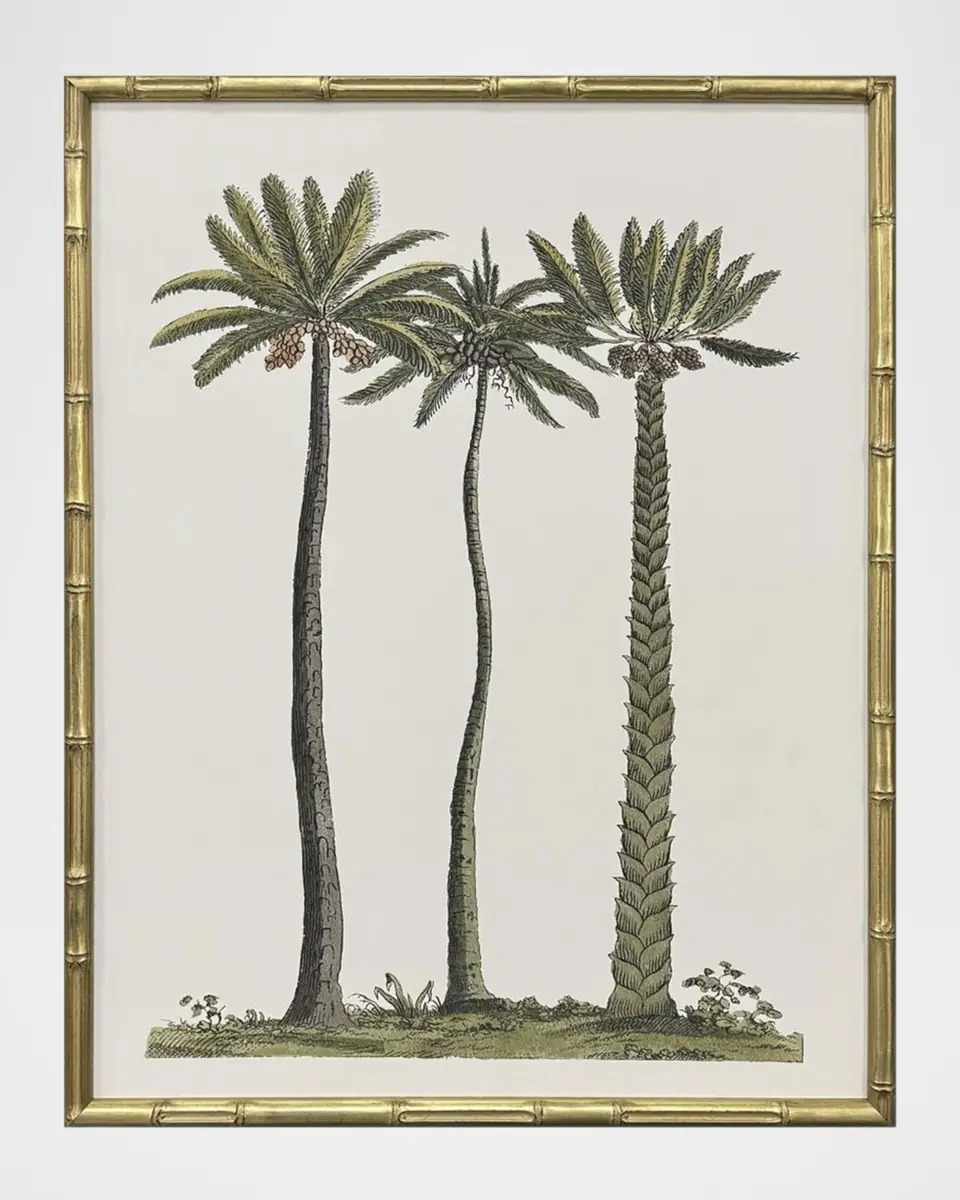 Paragon Decors "Contemporary Palm II" Framed Giclees, Set of 4 | Thumbnail 4 Paragon Decors "Contemporary Palm II" Framed Giclees, Set of 4 | Thumbnail 4