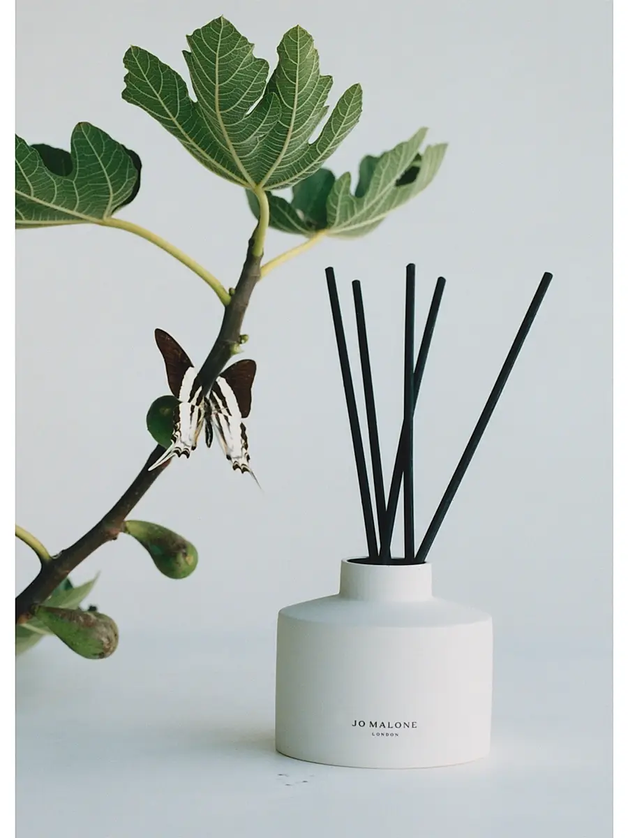 Jo Malone London Fresh Fig & Cassis Reed Diffuser | Thumbnail 3