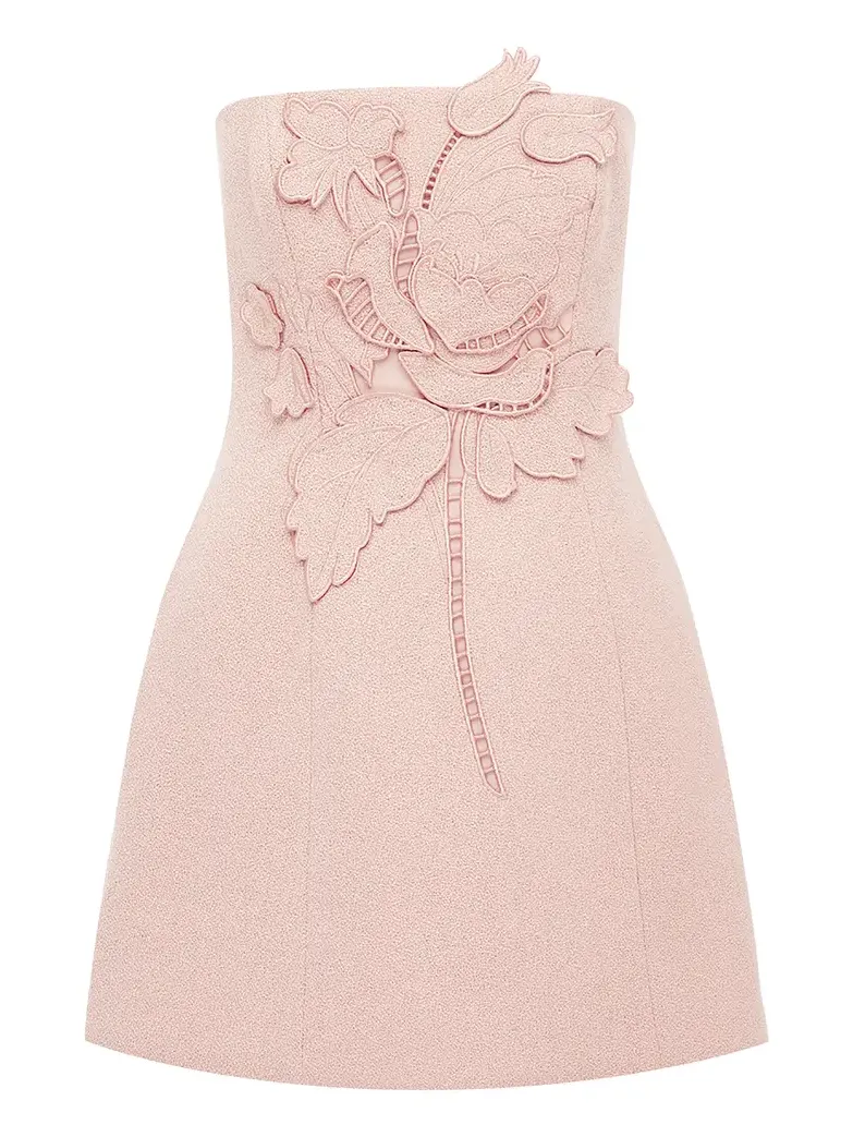 Roselle Applique Tweed Mini Dress