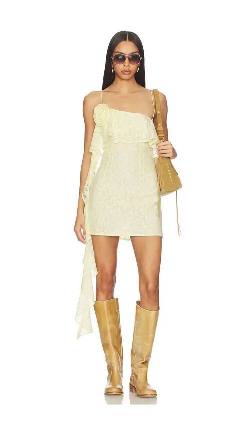 Lovers and Friends Skye Mini Dress