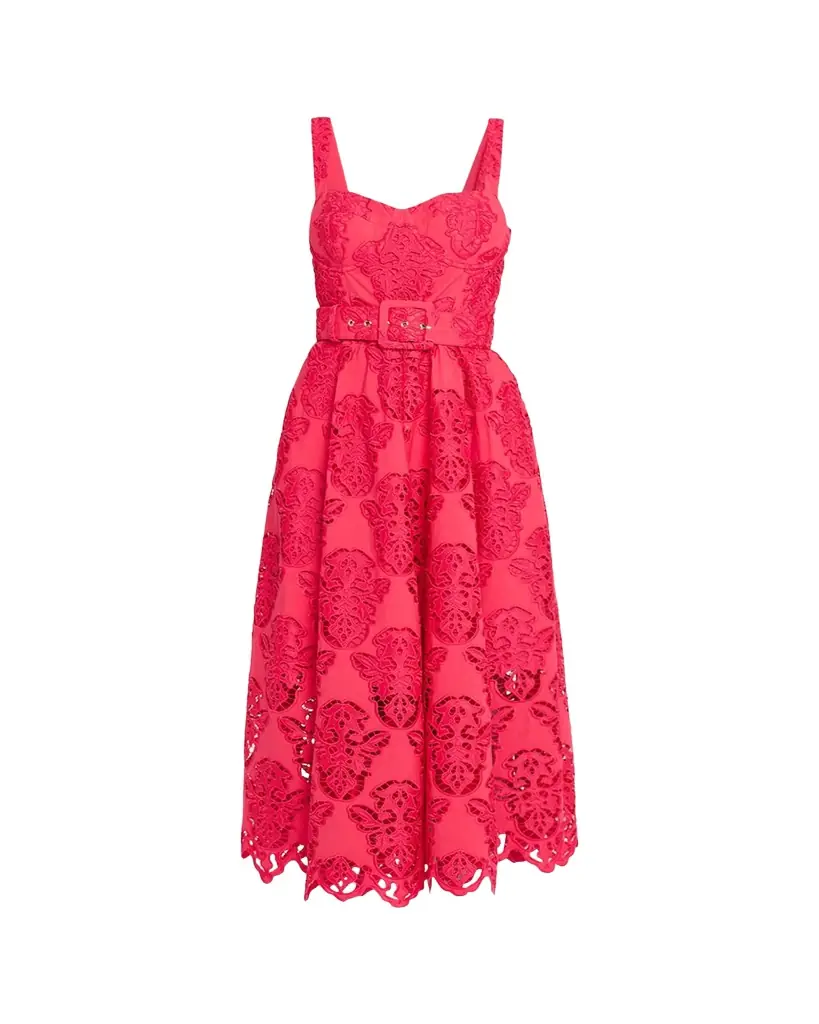 Cara Cara Calypso Embroidered A-Line Midi Dress | Image 1 Cara Cara Calypso Embroidered A-Line Midi Dress | Image 1