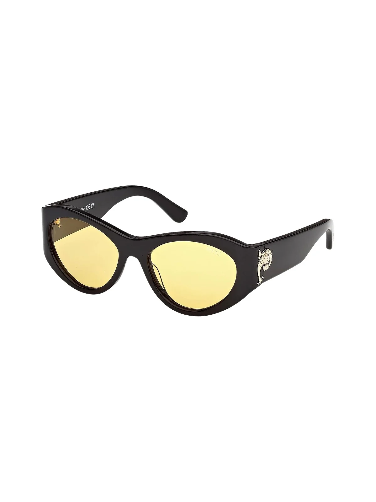 PUCCI Women's 54MM Cat-Eye Sunglasses