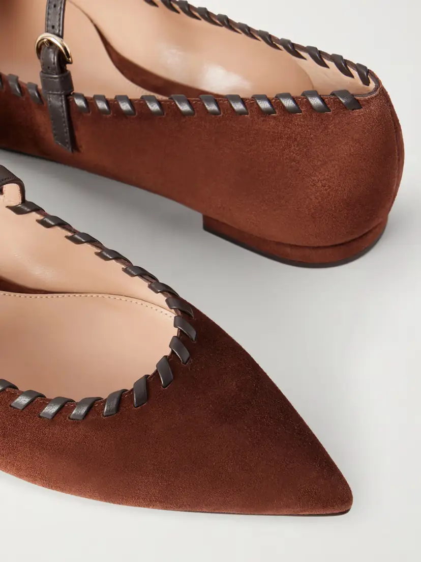 Gianvito Rossi Leather-trimmed Suede Mary Jane Ballet Flats | Thumbnail 5