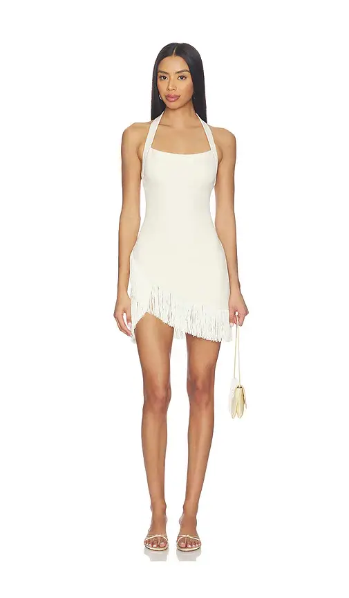 Lovers and Friends Maryalise Mini Dress