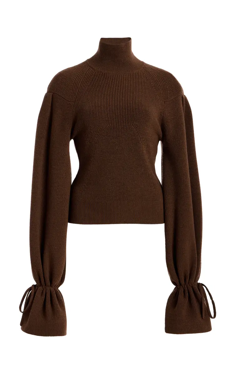 Camille Knit Wool Turtleneck Sweater