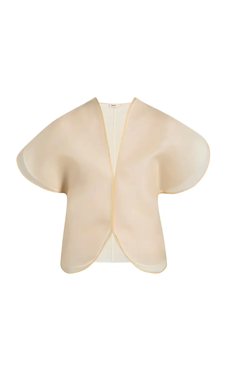 Briar Silk Organza Top Briar Silk Organza Top