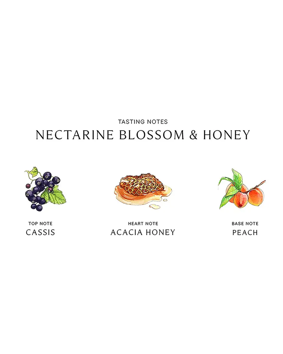 Jo Malone London 8.5 oz. Nectarine Blossom & Honey Body & Hand Wash | Thumbnail 2 Jo Malone London 8.5 oz. Nectarine Blossom & Honey Body & Hand Wash | Thumbnail 2