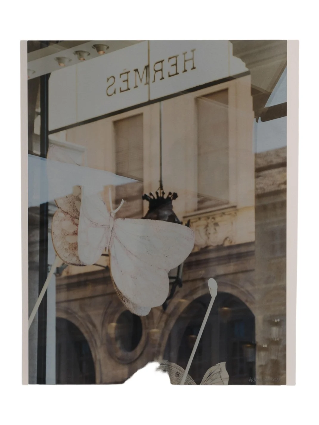 RFA Fine Art "Turin Hermes I" Print Photography Art by Andrea Hillebrand