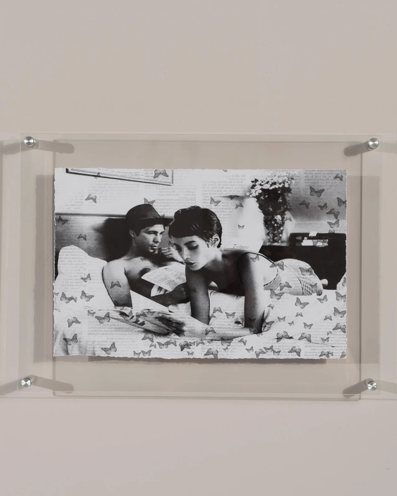 RFA Fine Art "Butterfly Stories" Print Photography Art in Plexi Frame