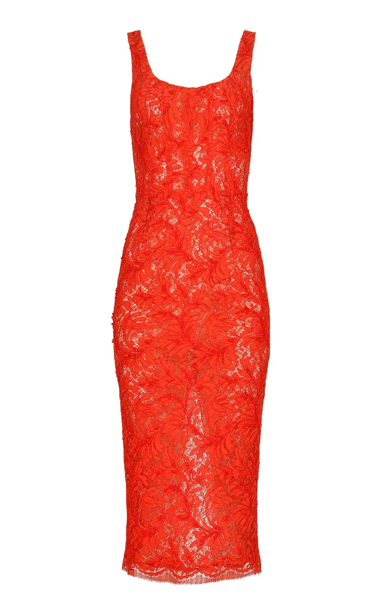 Stellar Lace Cotton Midi Dress