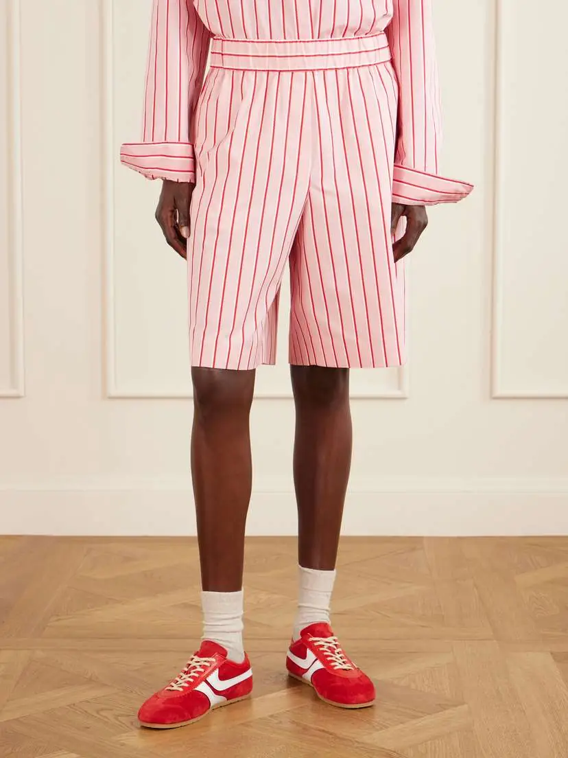 Dries Van Noten Pomy Bis Striped Cotton Shorts | Thumbnail 3