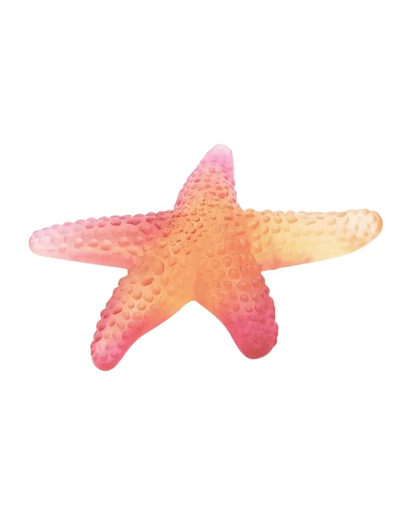 Daum Coral Sea Starfish, Amber/Red | Image 1 Daum Coral Sea Starfish, Amber/Red | Image 1