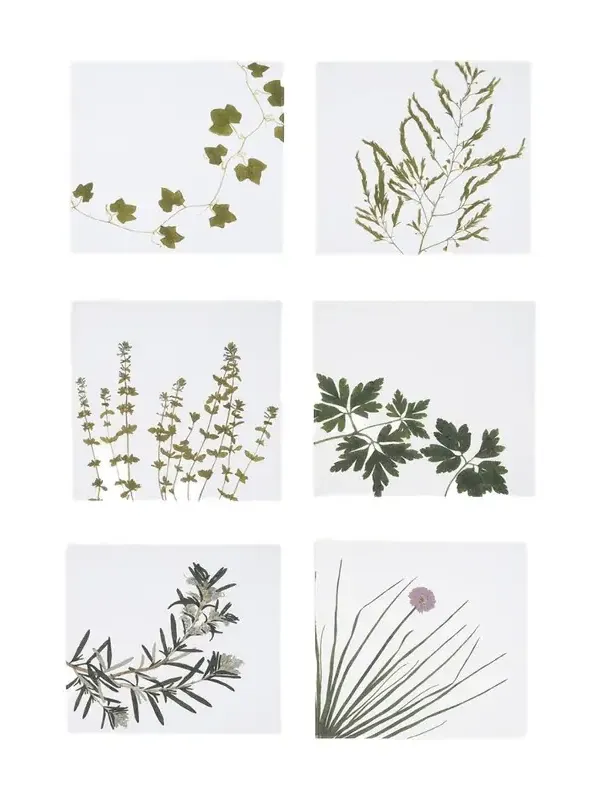SUMMERILL & BISHOP Herbarium Napkins, Set of 6
