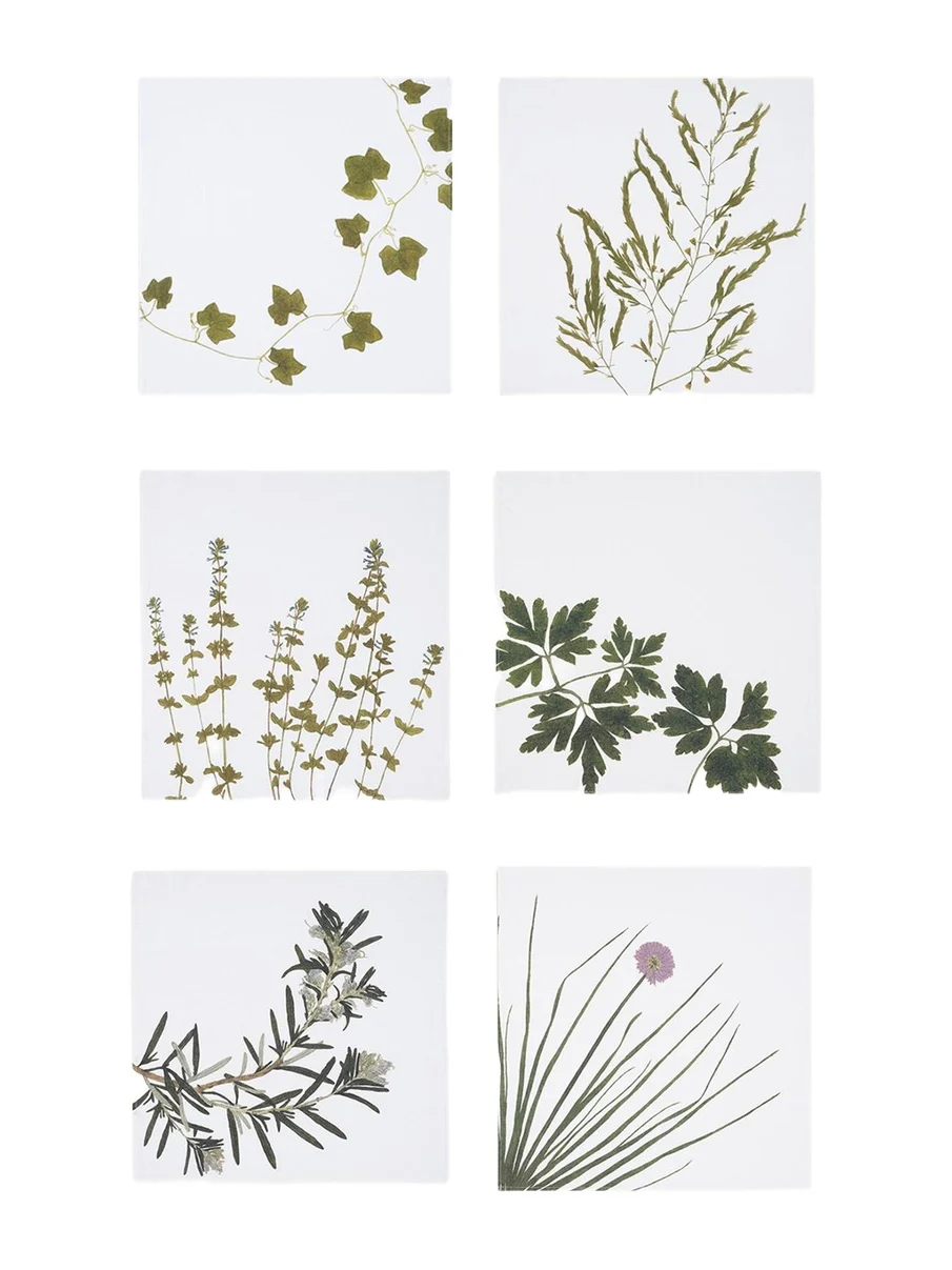 SUMMERILL & BISHOP Herbarium Napkins, Set of 6