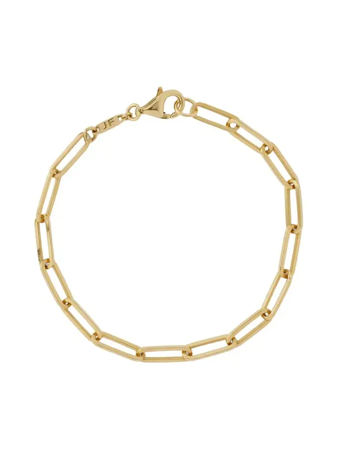 Long Link Charm Bracelet Long Link Charm Bracelet