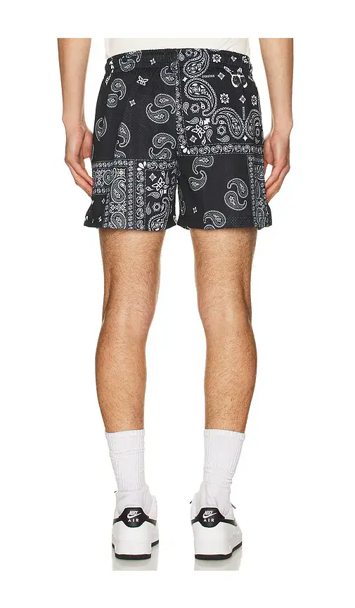 Ryoko Rain Original Paisley Shorts | Thumbnail 2
