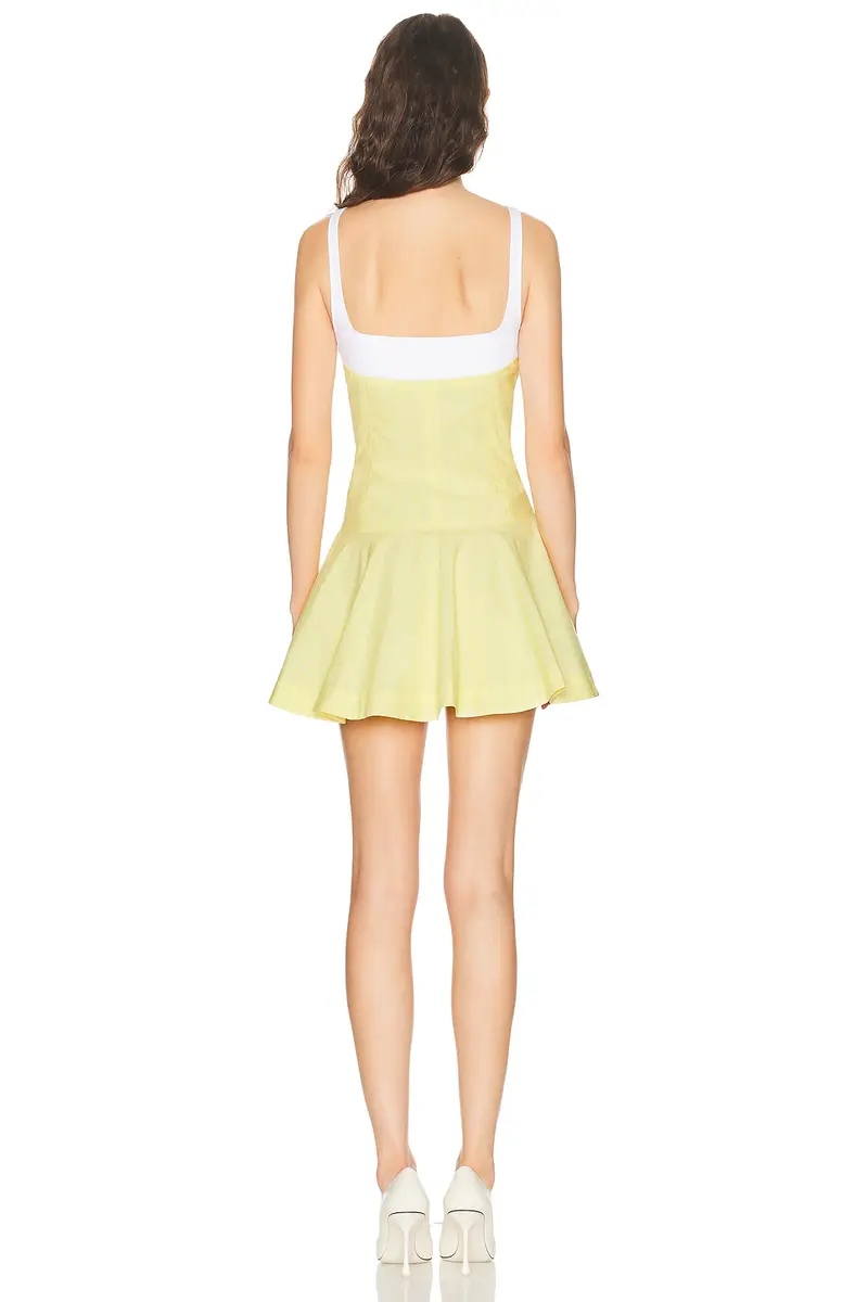 Simkhai Tyler Bustier Mini Dress | Thumbnail 3 Simkhai Tyler Bustier Mini Dress | Thumbnail 3