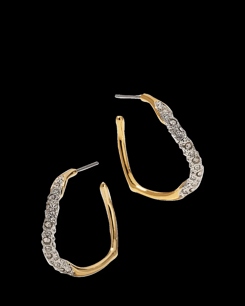 ALEXIS BITTAR Medium Two-Toned Pave Hoop Earrings | Thumbnail 2