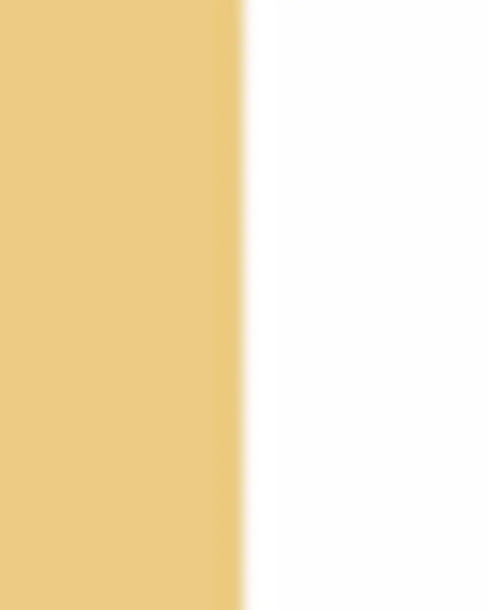 Graziela Gems 18K Yellow Gold Diamond Bahia Statement Earrings | Thumbnail 2 Graziela Gems 18K Yellow Gold Diamond Bahia Statement Earrings | Thumbnail 2