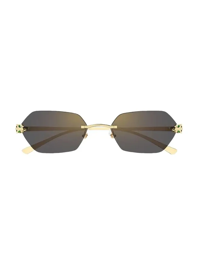 Panthère de 55mm Geometric Sunglasses Panthère de 55mm Geometric Sunglasses