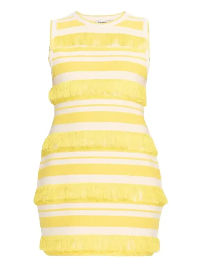Elly Knit Fringe Mini Dress