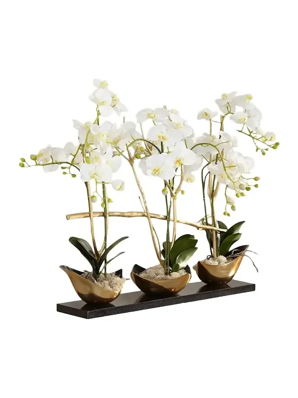 John-Richard Collection Silhouette Orchids II