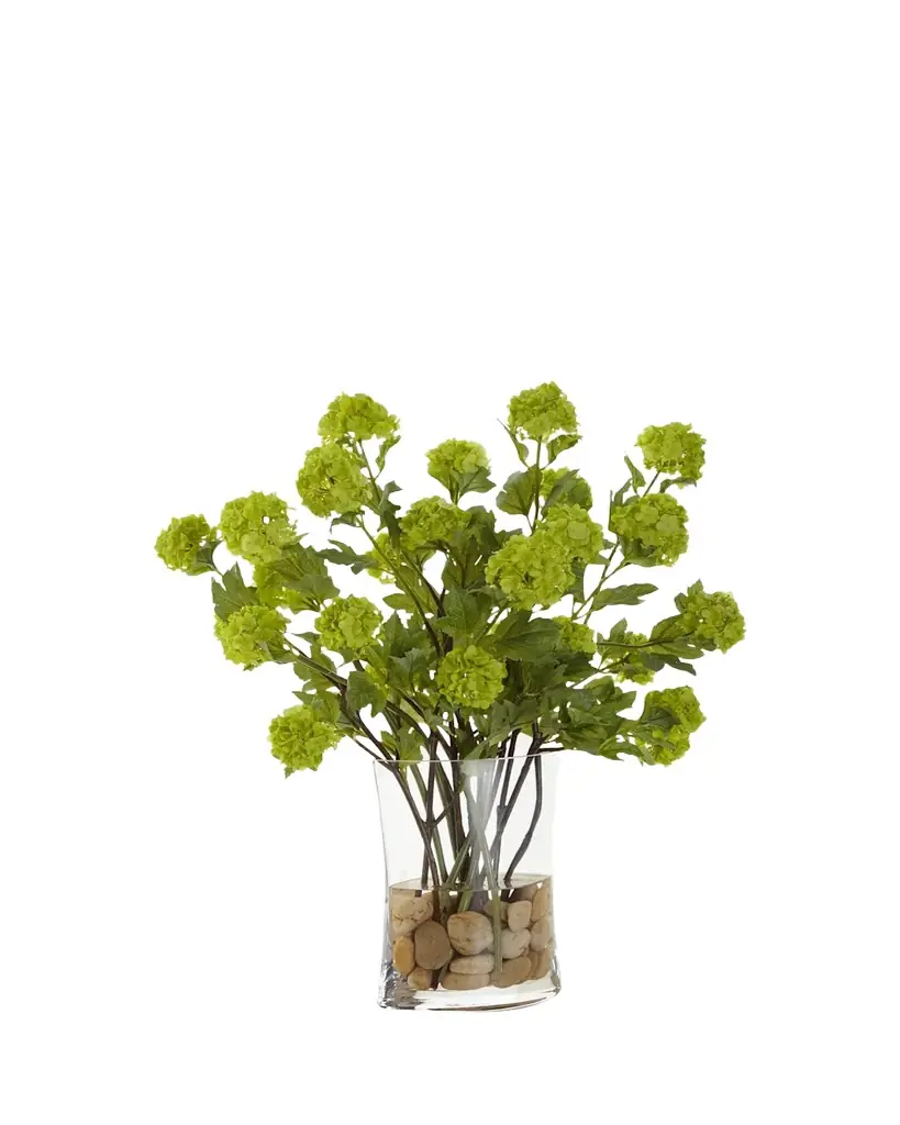 John-Richard Collection Vibrant Viburnum | Image 1 John-Richard Collection Vibrant Viburnum | Image 1