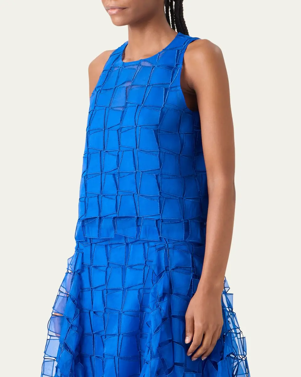 Akris Embroidered Organza Sleeveless Blouse | Thumbnail 4 Akris Embroidered Organza Sleeveless Blouse | Thumbnail 4