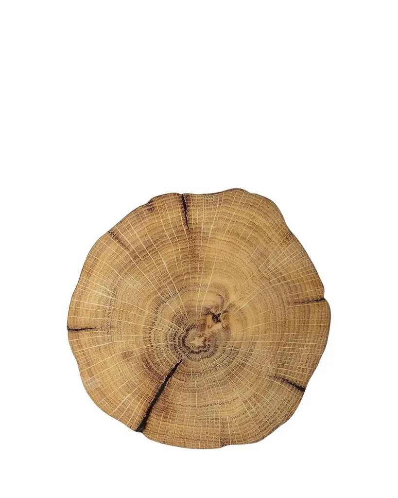 Kim Seybert Woodland Placemat