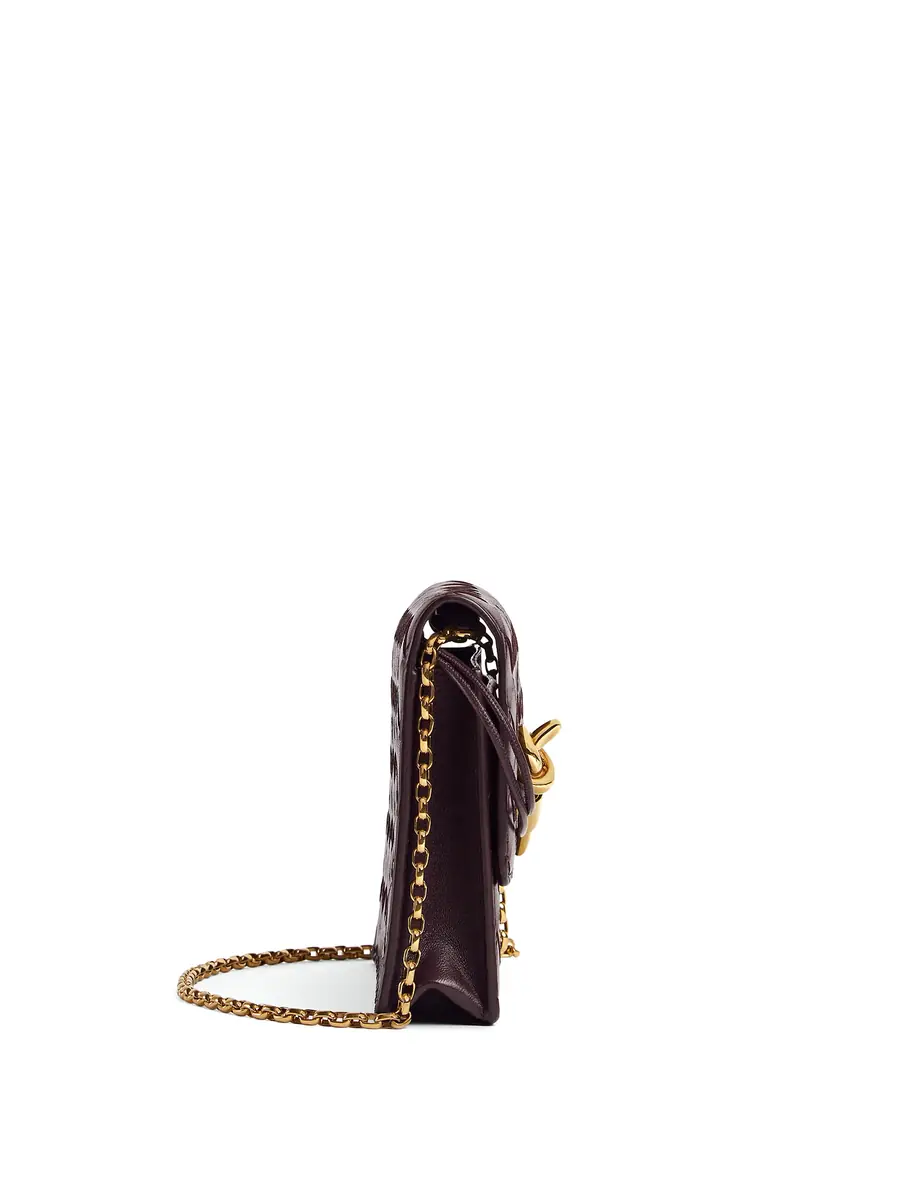 Bottega Veneta Andiamo Pouch on Chain | Thumbnail 2 Bottega Veneta Andiamo Pouch on Chain | Thumbnail 2