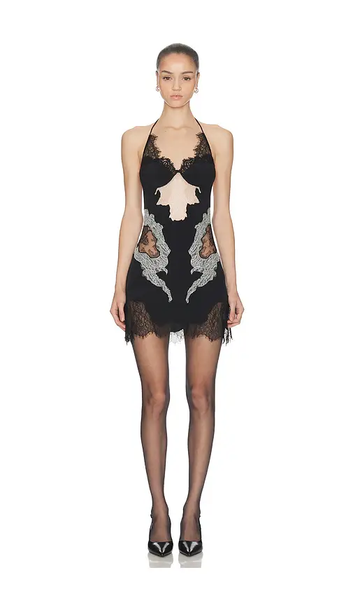 HAELO Lace Collage Dress | Image 1 HAELO Lace Collage Dress | Image 1