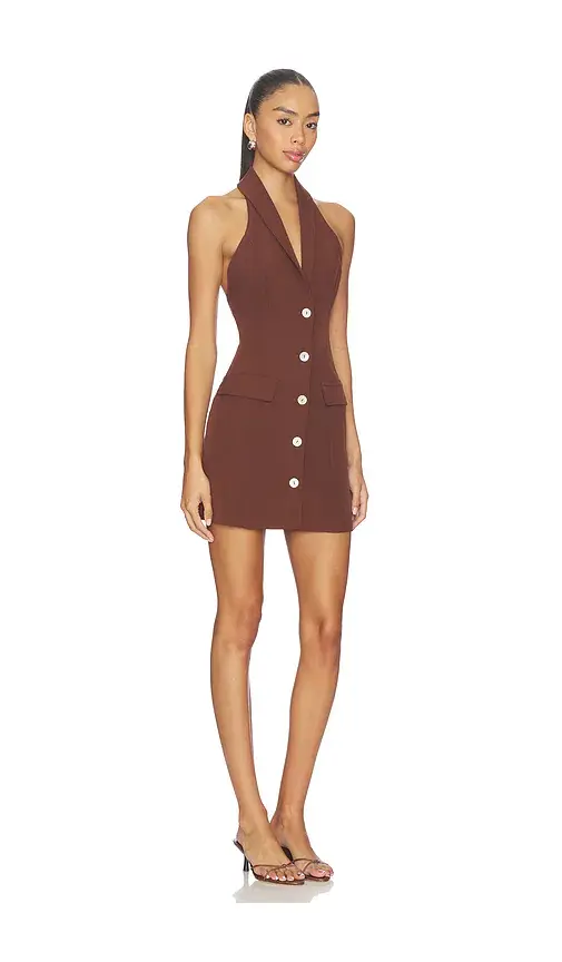 ALL THE WAYS Indiana Mini Dress | Thumbnail 2