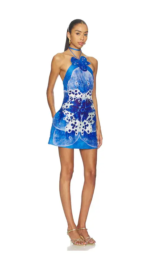 Amur Everlee Mini Dress | Thumbnail 2 Amur Everlee Mini Dress | Thumbnail 2