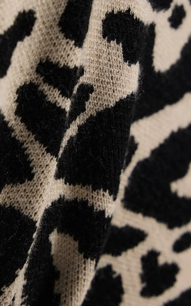 Posse Exclusive Lexi Leopard Knit Shorts | Thumbnail 5