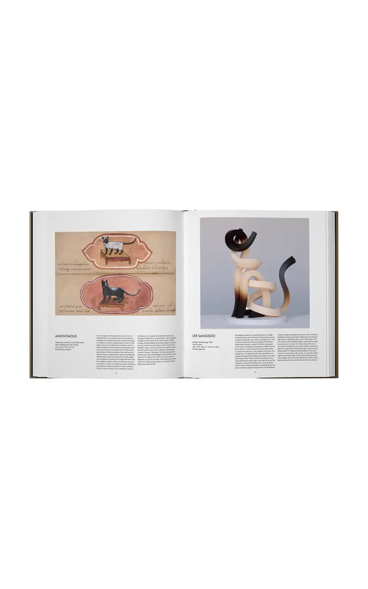 PHAIDON Cat | Thumbnail 4