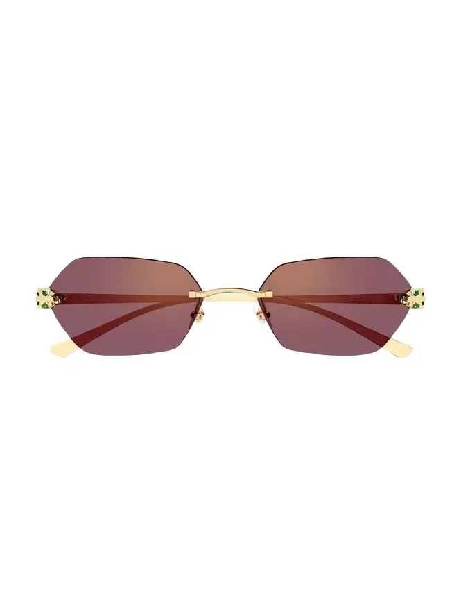 Panthère de 55mm Geometric Sunglasses Panthère de 55mm Geometric Sunglasses