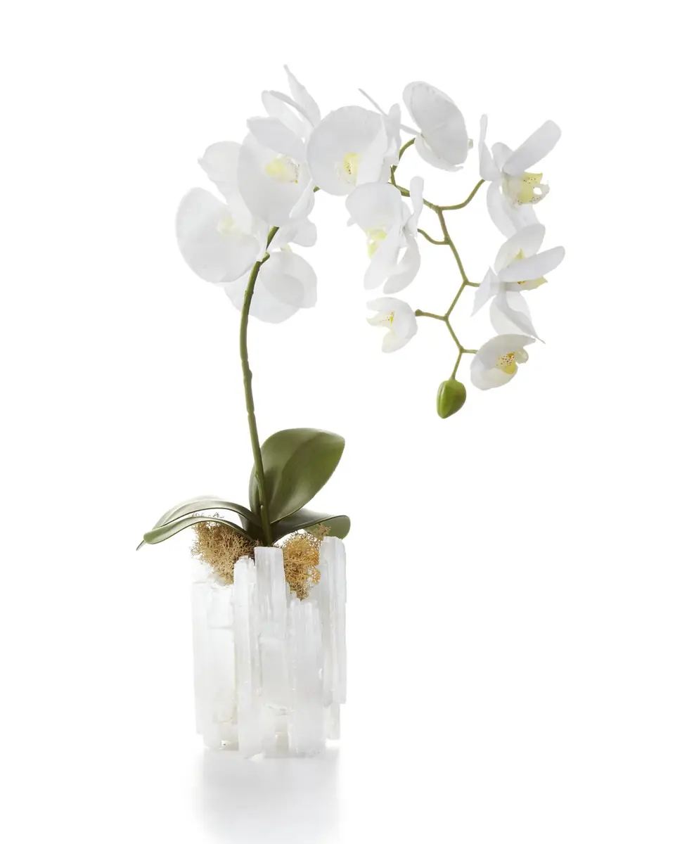John-Richard Collection Real Touch Selenite Orchid Faux Floral Arrangement | Thumbnail 2 John-Richard Collection Real Touch Selenite Orchid Faux Floral Arrangement | Thumbnail 2