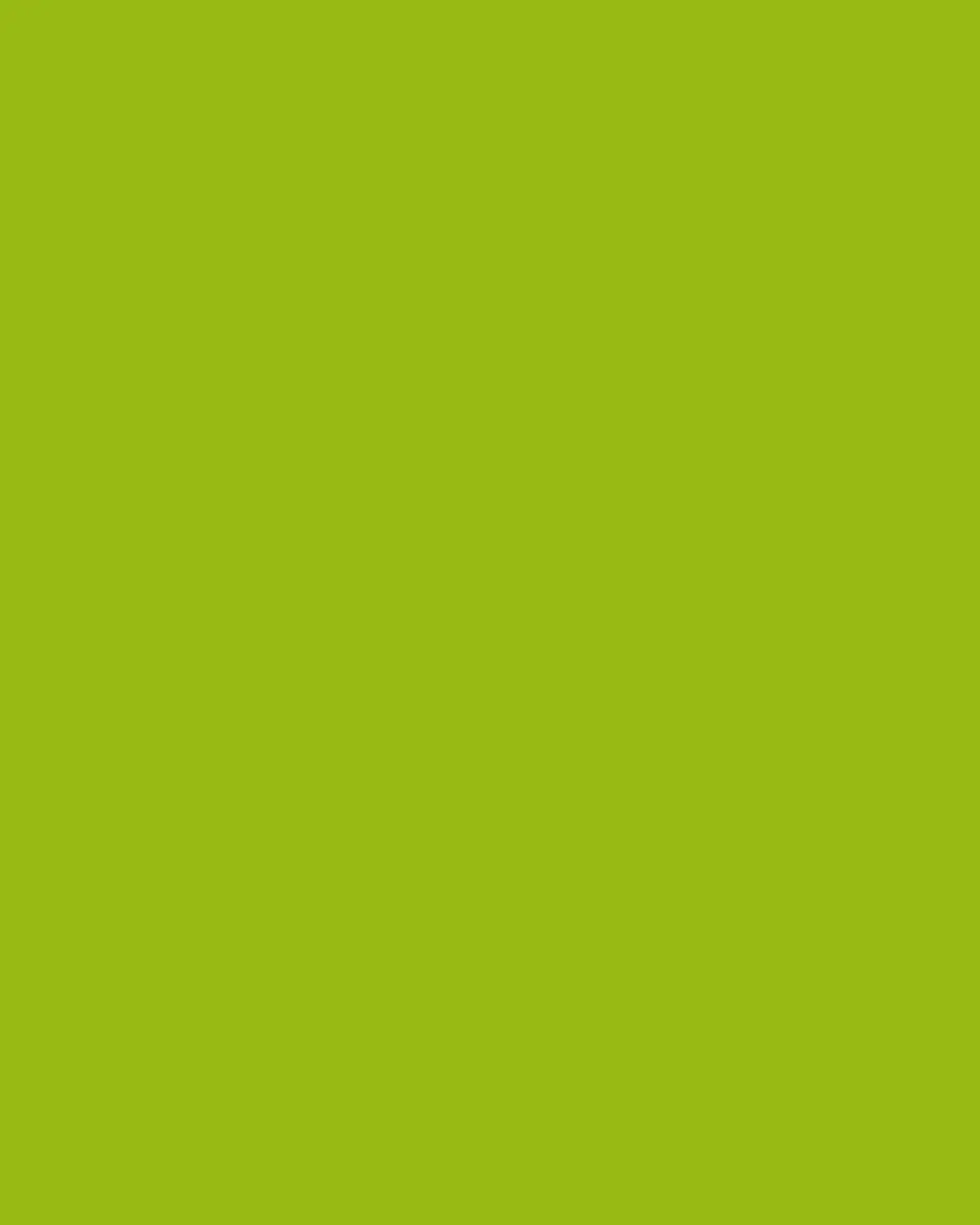 John-Richard Collection Natures Green Floral Arrangement | Thumbnail 3