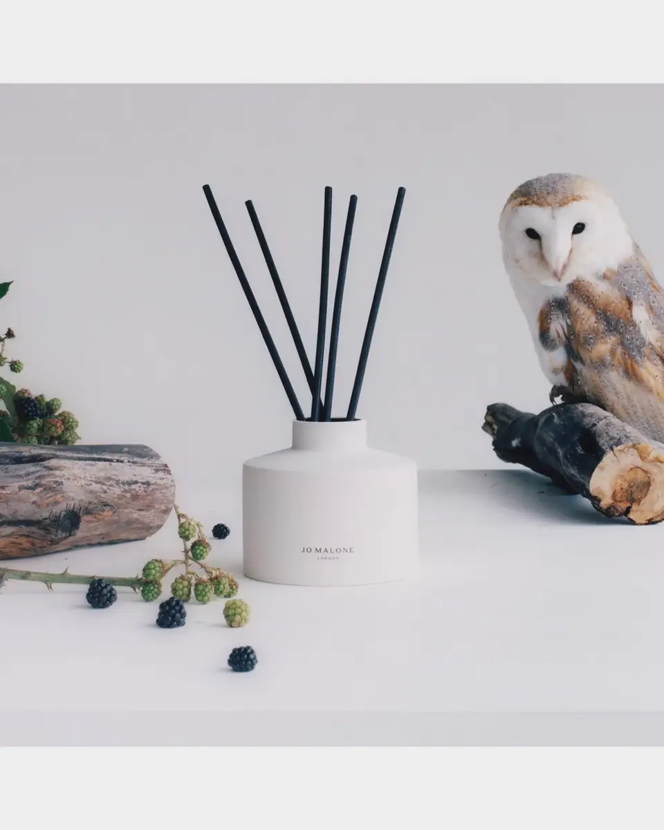 Jo Malone London 11.8 oz. Wild Berry & Bramble Diffuser | Thumbnail 3 Jo Malone London 11.8 oz. Wild Berry & Bramble Diffuser | Thumbnail 3