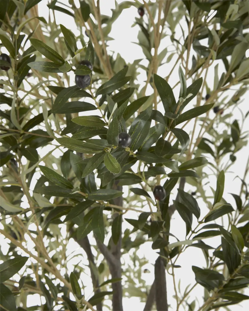 John-Richard Collection Faux Natural Olive Tree in Ceramic Pot - 112" | Thumbnail 3