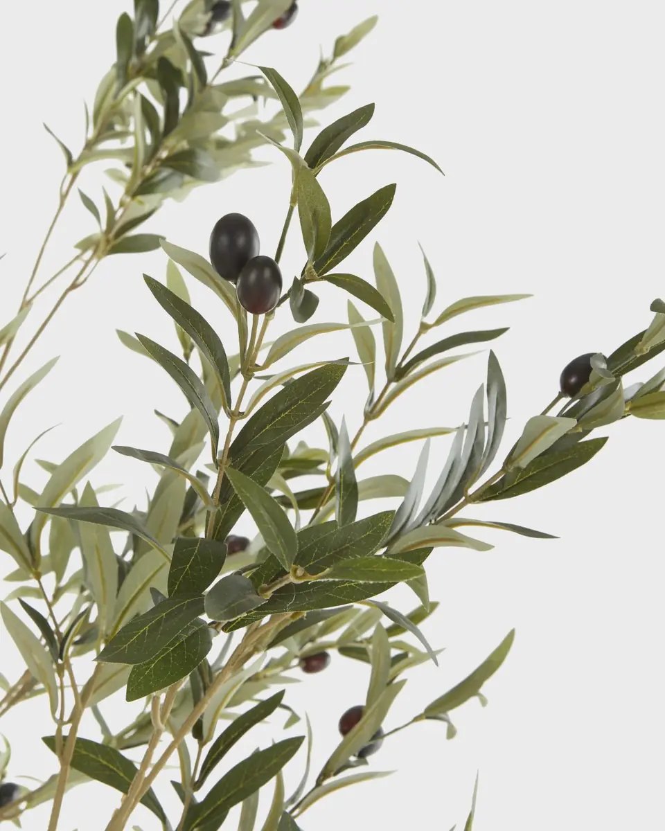 John-Richard Collection Faux Natural Olive Tree in Ceramic Pot - 112" | Thumbnail 5