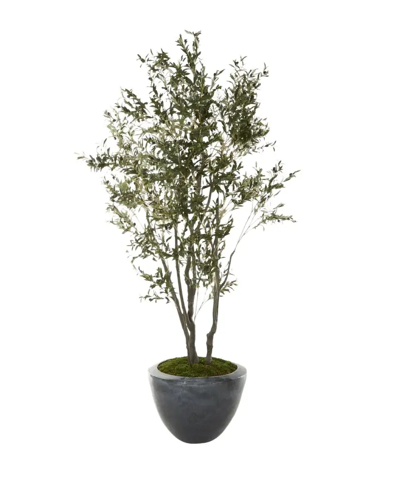 John-Richard Collection Faux Natural Olive Tree in Ceramic Pot - 112"