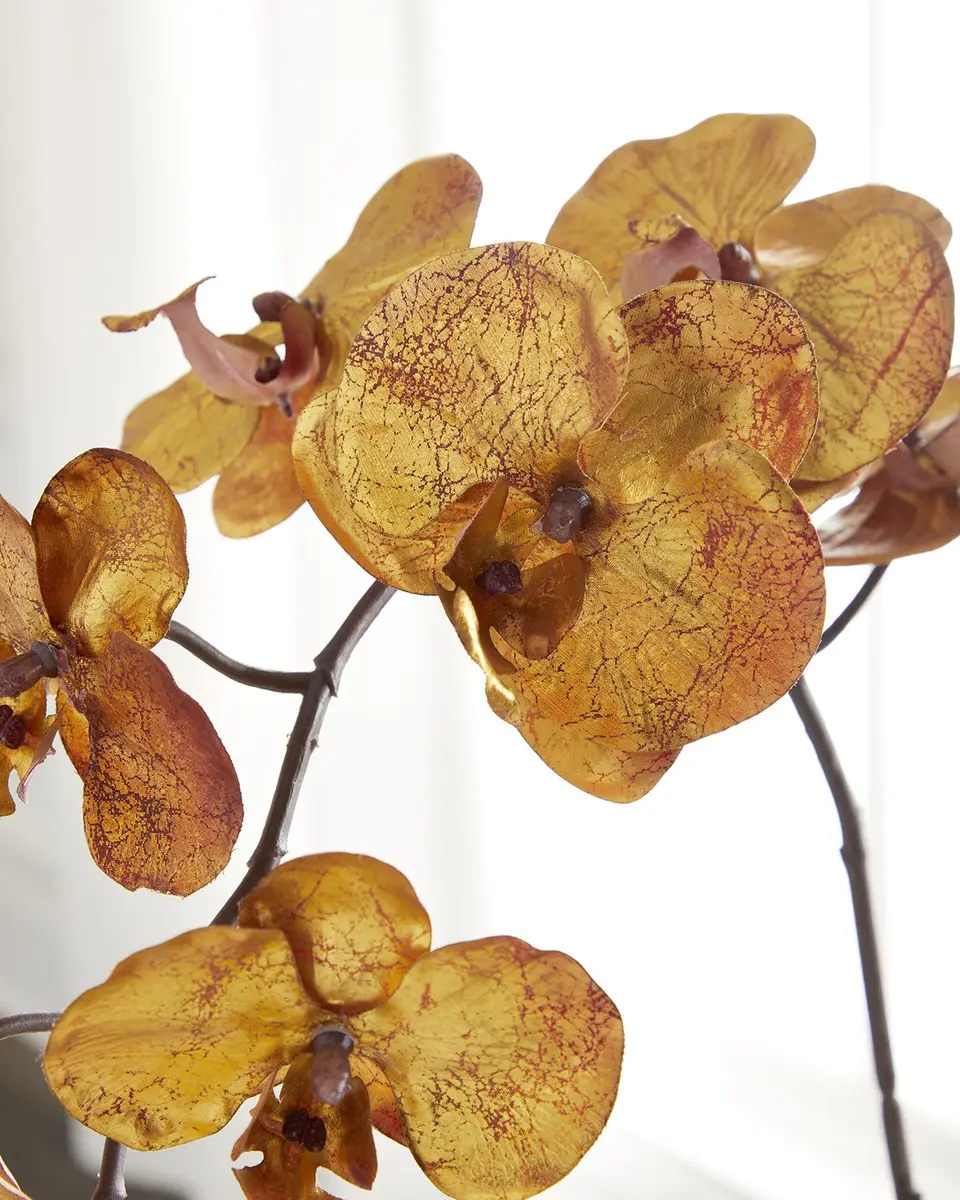 John-Richard Collection Burnished Orchid Arrangement | Thumbnail 2 John-Richard Collection Burnished Orchid Arrangement | Thumbnail 2