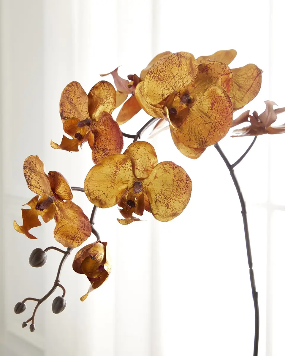 John-Richard Collection Burnished Orchid Arrangement | Thumbnail 3 John-Richard Collection Burnished Orchid Arrangement | Thumbnail 3