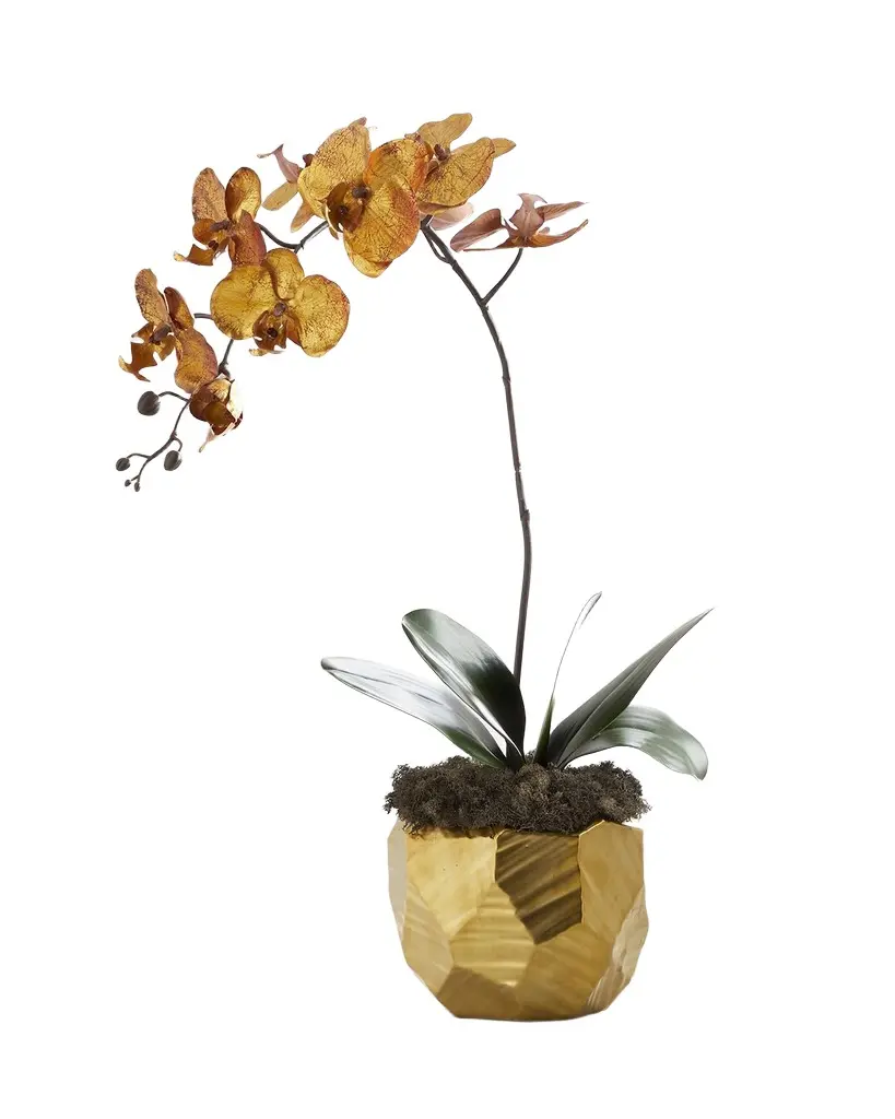 John-Richard Collection Burnished Orchid Arrangement