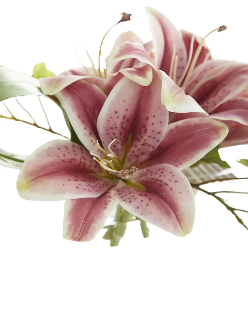 John-Richard Collection Tropical Ice Floral Arrangement | Image 1 John-Richard Collection Tropical Ice Floral Arrangement | Image 1