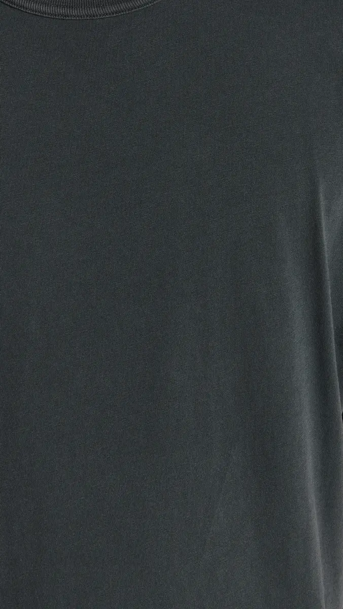 Citizens of Humanity Box Tee Charred Cedar | Thumbnail 6