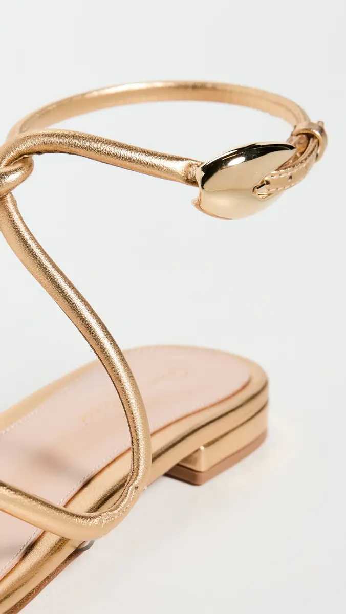 Gianvito Rossi Black Mamba Flats Mekong/Trasp | Thumbnail 6