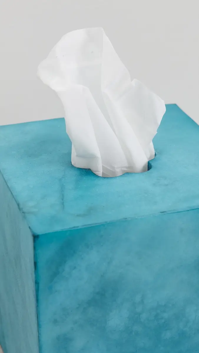Kassatex Shopbop x Tissue Holder | Thumbnail 5